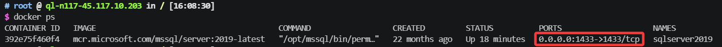 image-20260511161906650