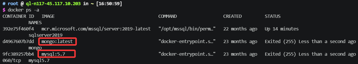 image-20260511165230112